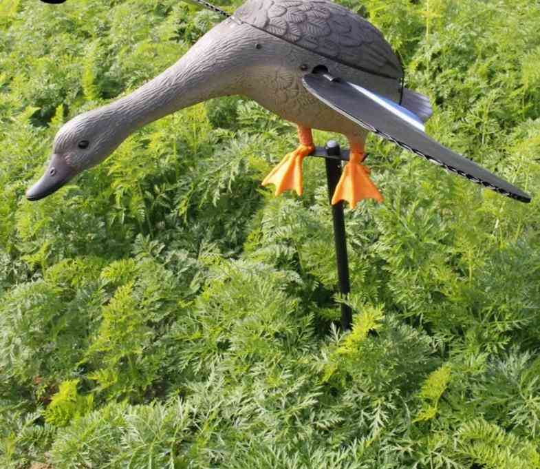 Duck Hunting Decoy Items