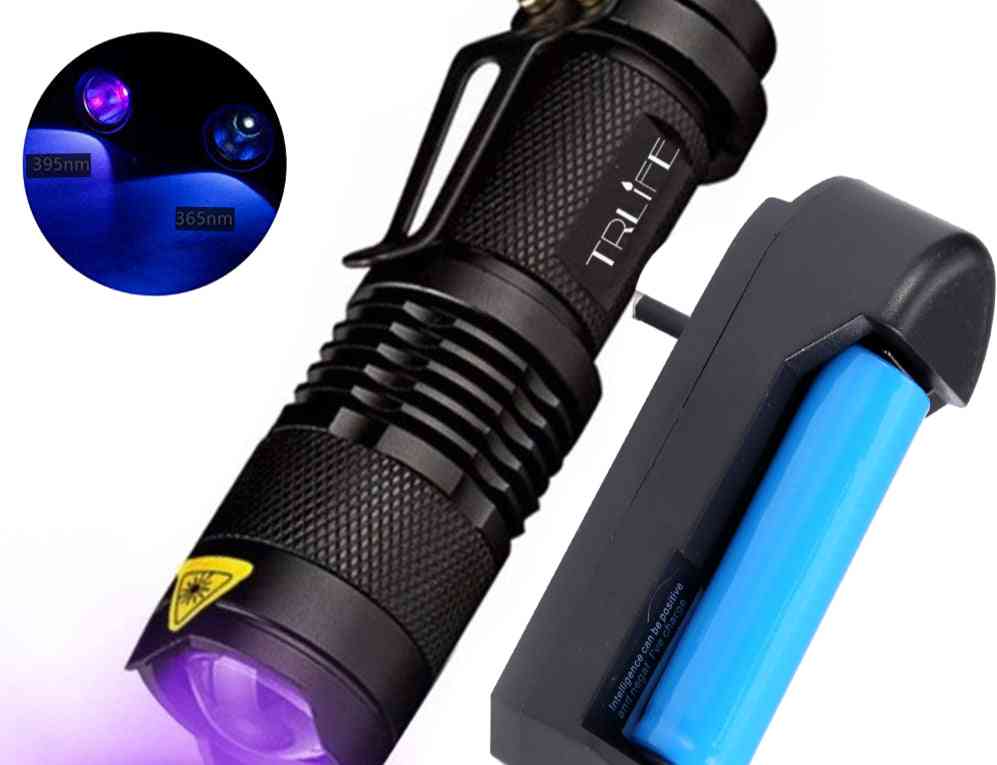 Détecteur d'urine pour animaux de compagnie à lumière uv scorpion à lumière noire zoomable ultraviolet extérieur