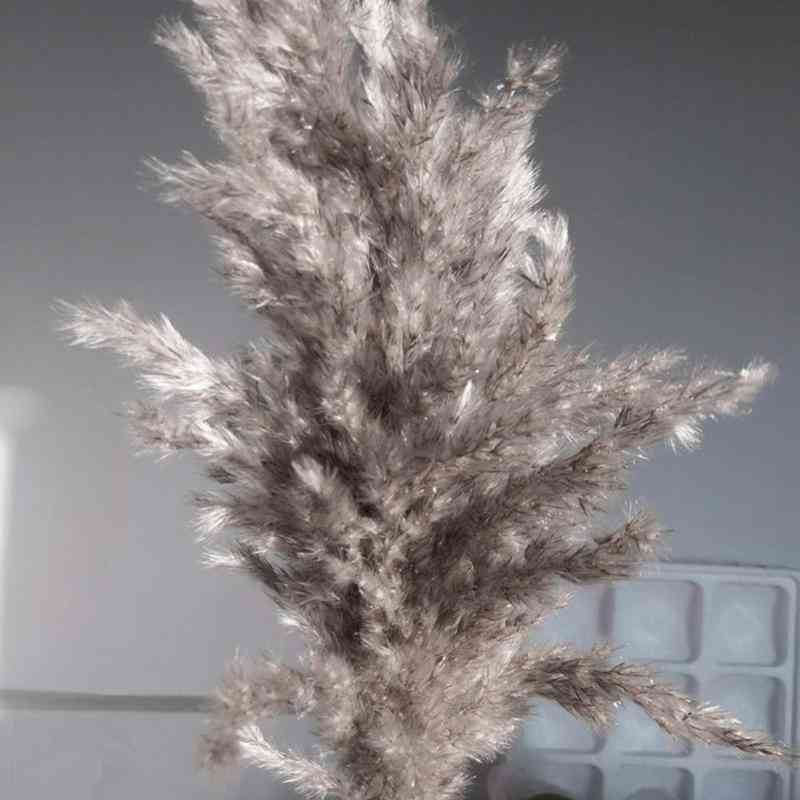 Natural Dried Flower Pampas Grass Reed Home Decoration