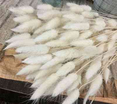 High Quality Natural Dried Flower Rabbit Tail Bunny For Home Decoration