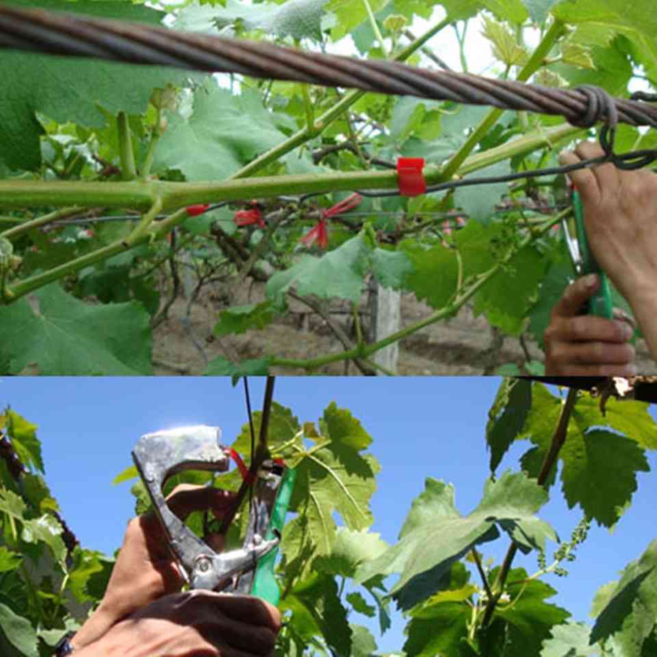 Agricultural Vine Branch Plant Hand Tying Tape Stapler