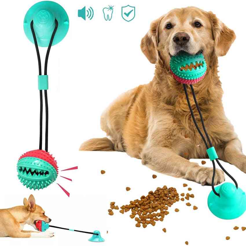 Nettoyage interactif des dents de chien avec ventouse en silicone, boule d'alimentation