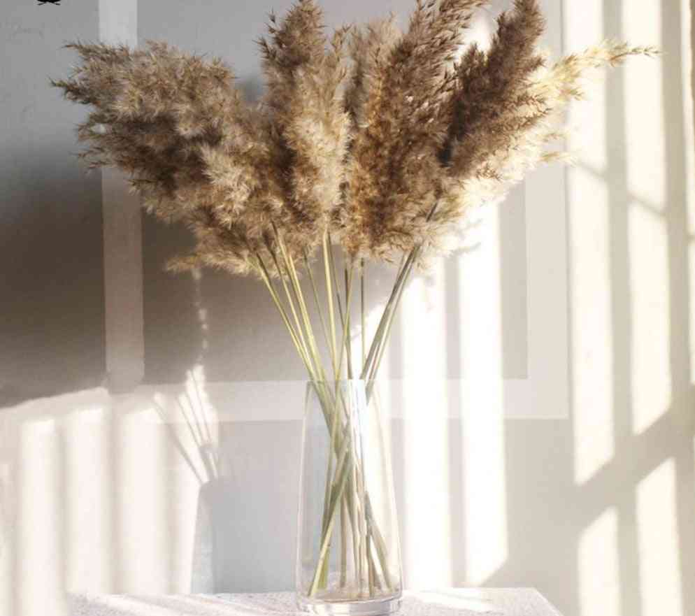 Szárított pampák fű dekoráció esküvői virágcsokor természetes növények otthoni