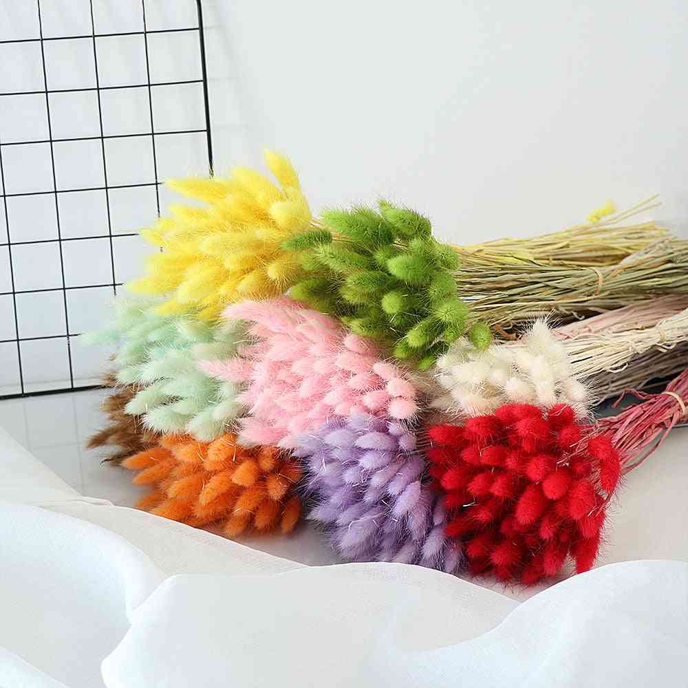 Pastoral Style Rabbit Tail Grass, Dried Flowers Bouquets Natural Material Artificial Uraria Picta