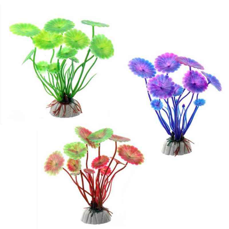 Akvaario kasvien koristelu akvaario, kukka ruoho, ornamentti sisustus, vedenalainen kasvi