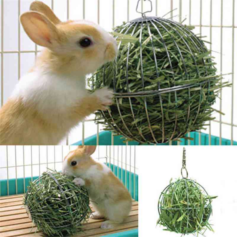 Rat Rabbit Pet Food Feed Dispenser Hanging Ball