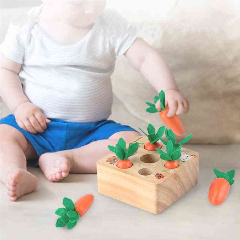 Forma de morcov din lemn, cognitie potrivita, set educational montessori