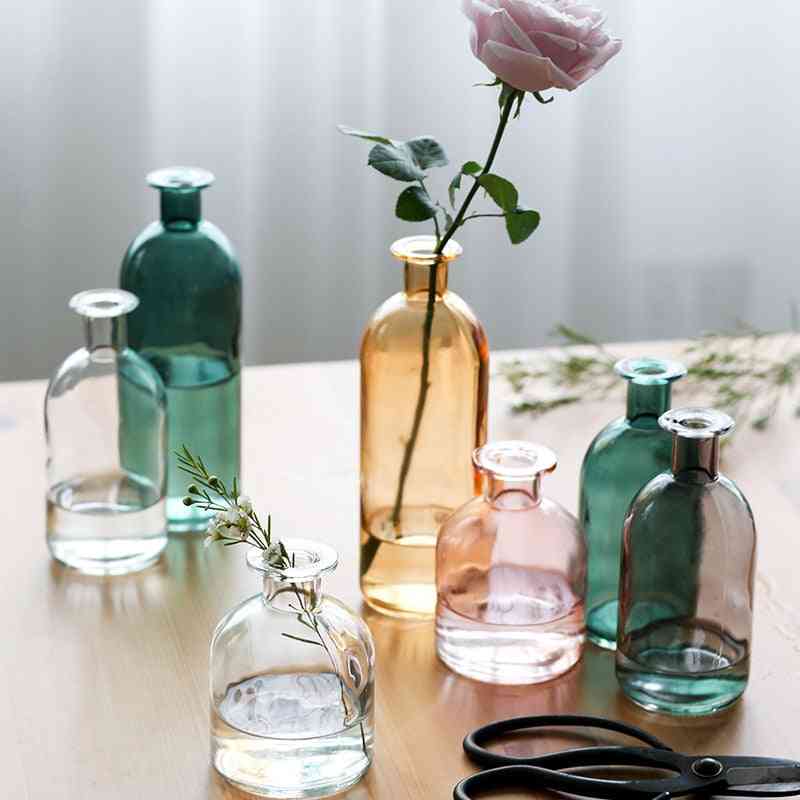 Olohuone kuivatut kukat pohjoismainen tyyli lasimaljakko