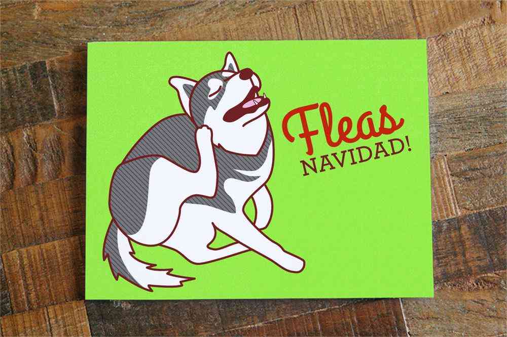 Fleas Navidad Dog Christmas Card