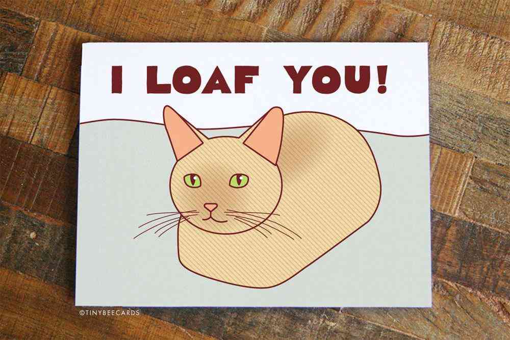 Card aniversare pisică