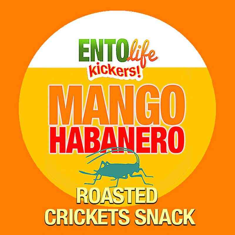 Mango Habanero Flavored Cricket Snack