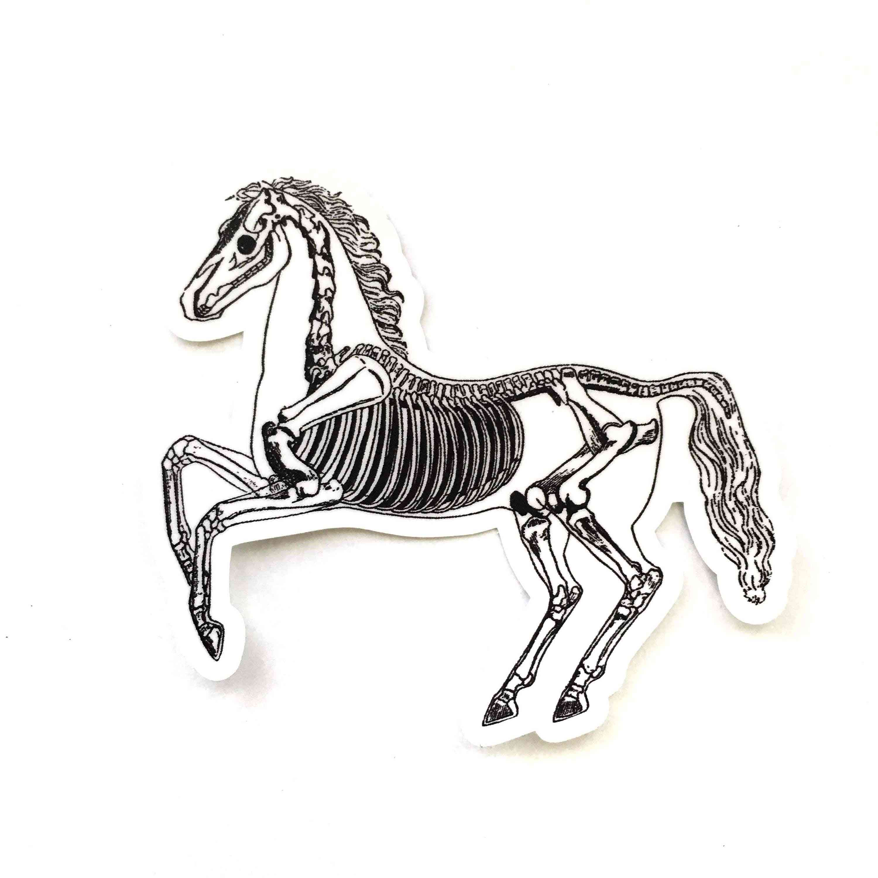 Vintage skelett häst vinyl klistermärke