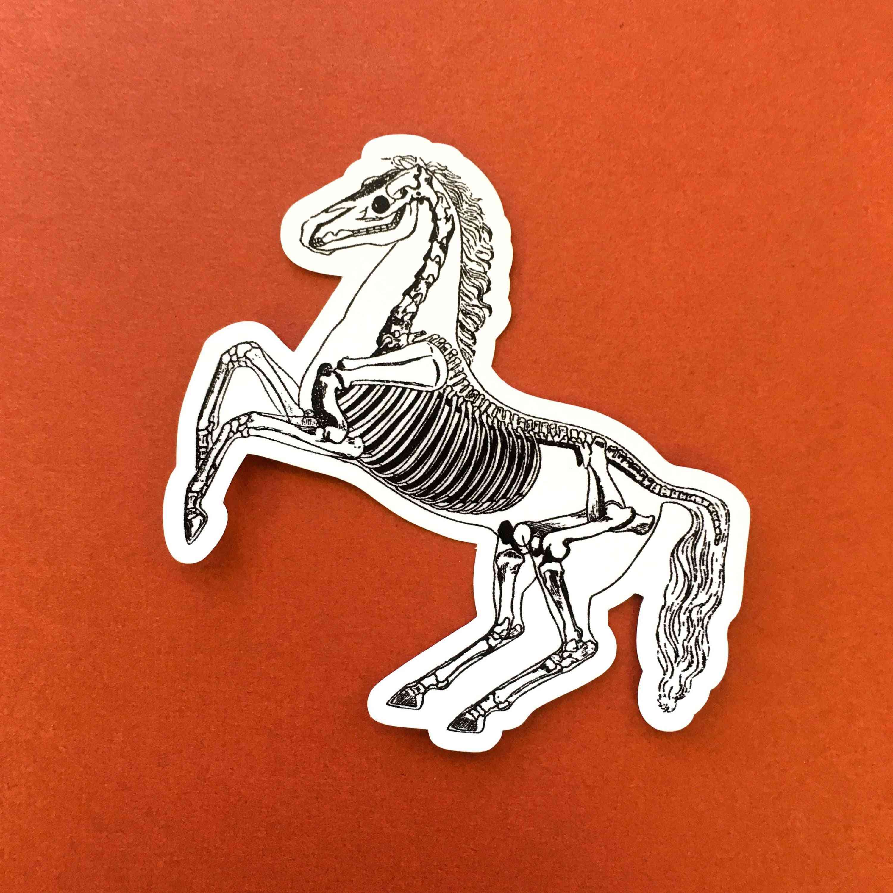 Vintage skelet paard vinyl sticker