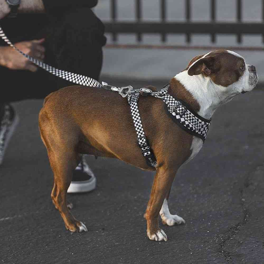 Dambord verstelbaar mesh harnas voor honden