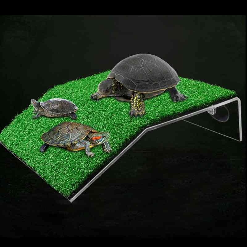 Schildkrötenplattform Rastschildkröte Kletterleiter Trocknen Sonnenterasse