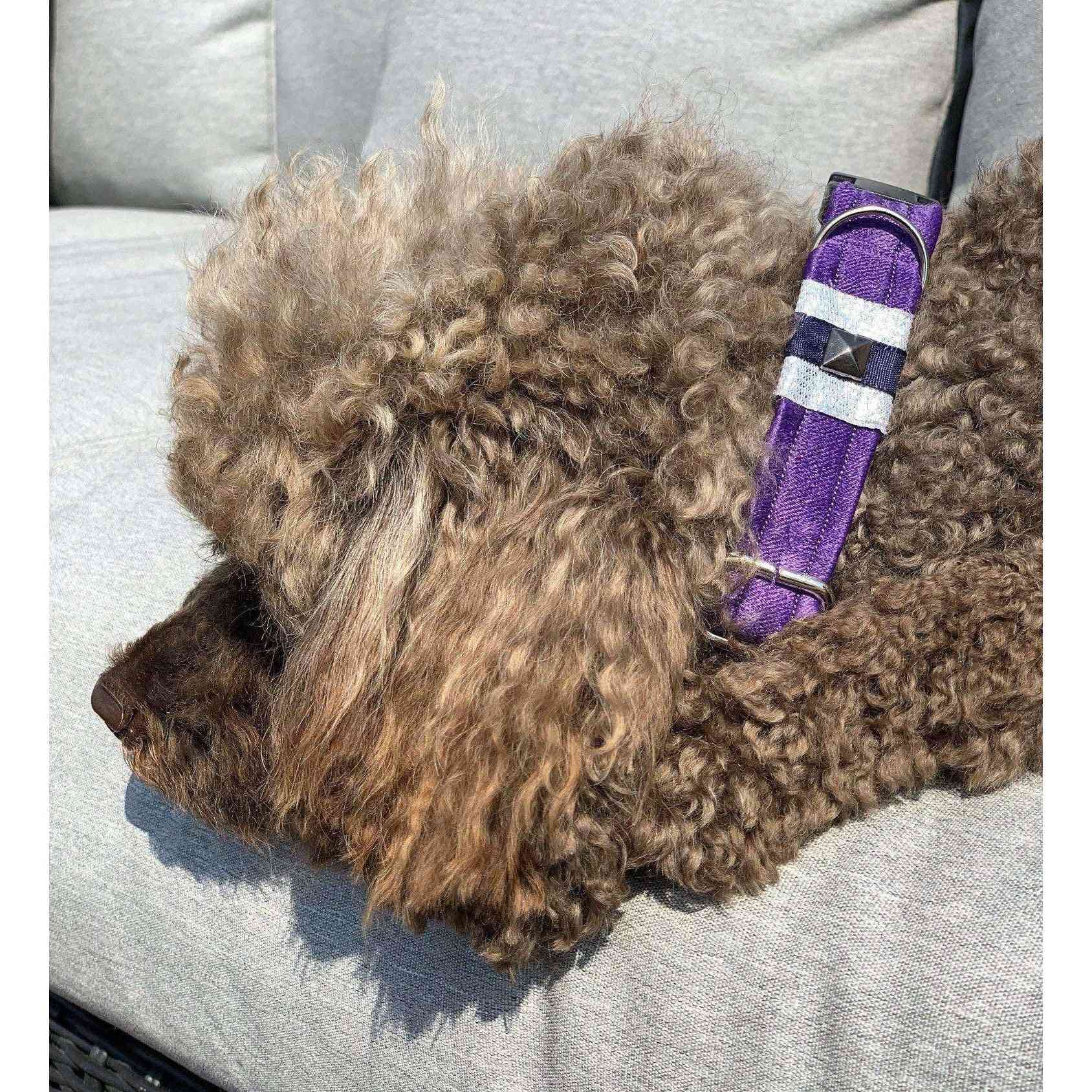 Purple Satin Animal Print Dog Collar