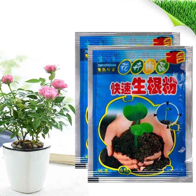 Bonsai Plant- Rapid Growth Root, Medicinal Hormone, Regulators Growing Seedling