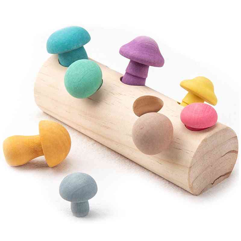 Wooden Rainbow Blocks-mushroom Picking Game