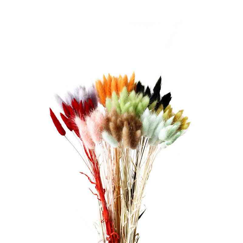 20pcs Rabbit Tail Grass Natural Dried Flowers Artificial Decoration Props