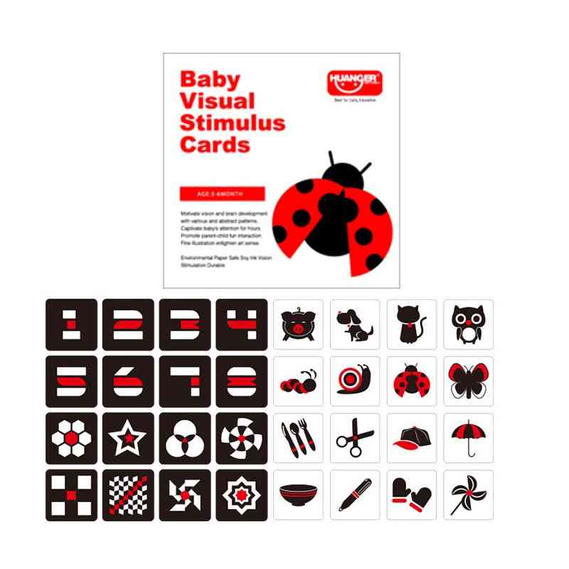 Baby Toy Training Early Education Card