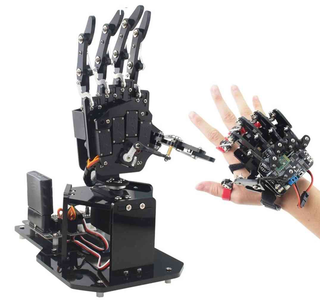 Programmierbare Roboterpalme zum Geburtstag