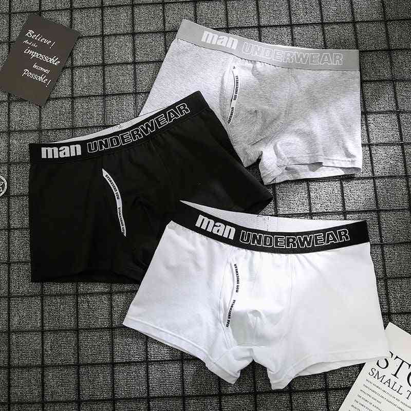 Coton solide- culotte boxer, short sous-vêtement (set 2)