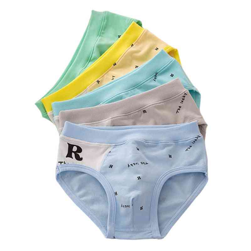 Briefs Kids Underwear Organic Cotton