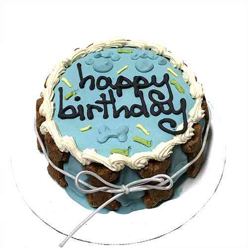 Modra rojstnodnevna torta na policah za hišne pse