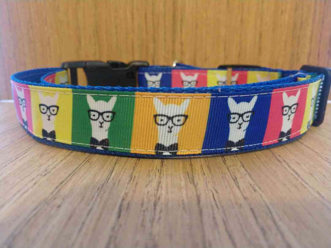 Colorful- Leash Large, Hipster Dog Collar