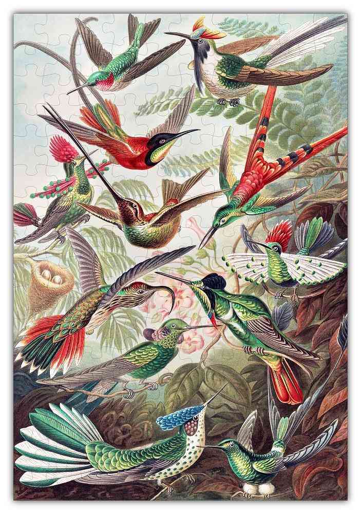 Haeckels kolibri kirakós játék # 6730
