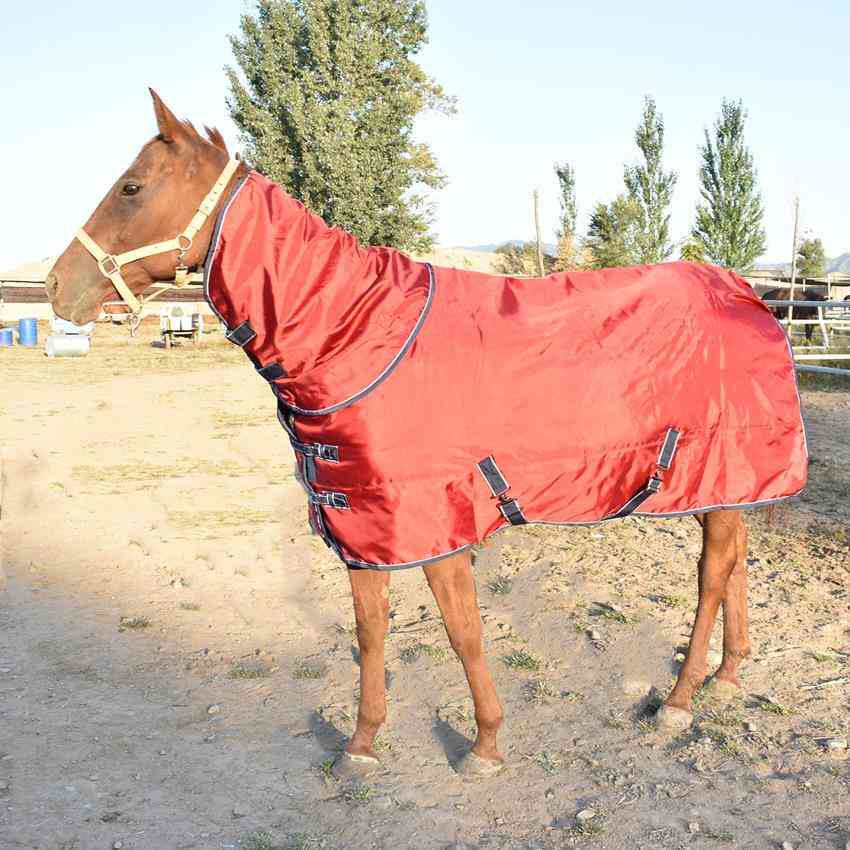Winter With Thick Cotton, Stopped Collar, Horse Riding, Outdoor Rugs