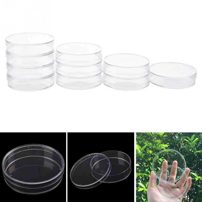 35mm Clear Petri Dishes