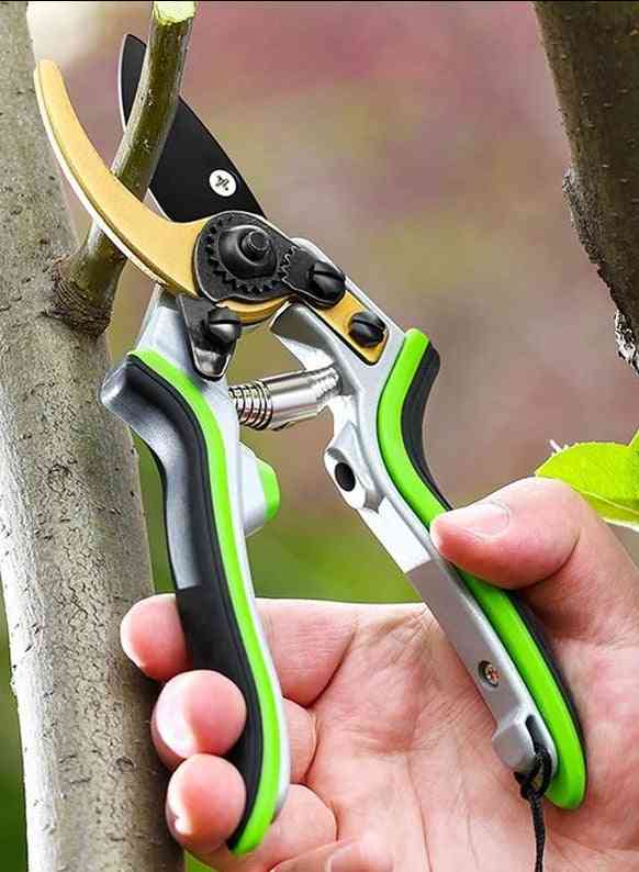 Trädgårdsbeskärning sax klippverktyg fruktträd beskärning sax bonsai gren beskärare trädgårdsarbete sekatörer trimmer verktyg