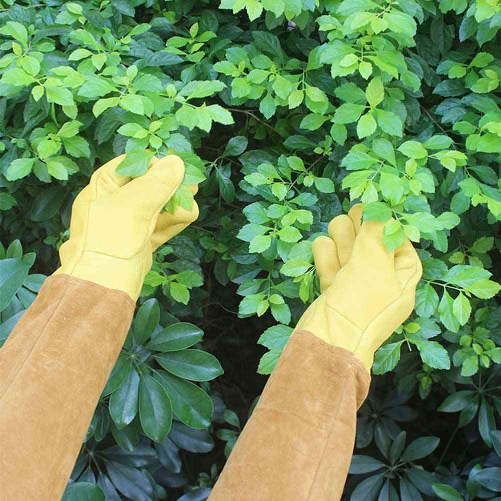 Non-slip Rose Pruning Protective, Long-sleeve Thorn, Gardening Gloves