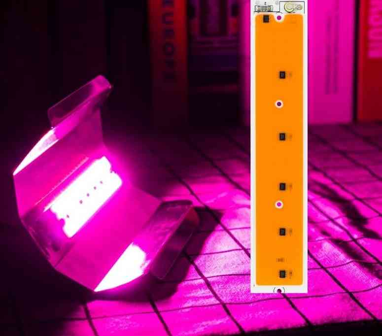 Fyto -lamppu] kasveille täyden spektrin led -kasvava valo
