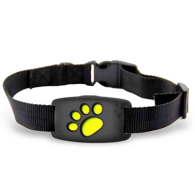 Anti-lost Device Real Time Tracking Locator Pet Collars With Mic Free App