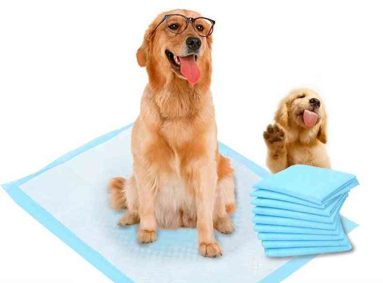 Sällskapsdjur träningsunderlag superabsorberande blöja för hundar