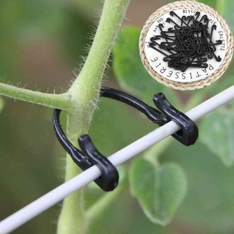 Plastic Plant Vines- Tied Buckle Vegetable, Grafting Support, Clips Tools