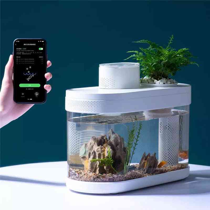 Aquarium à géométrie, contrôle intelligent, nourrir automatiquement les poissons régulièrement, système de super filtrage, aquarium transparent