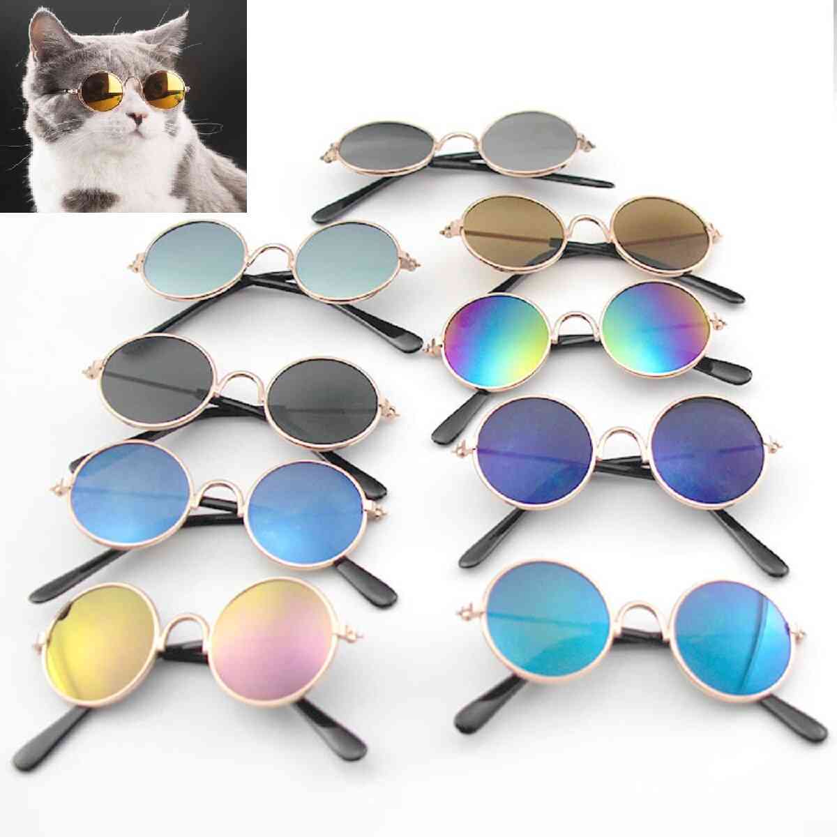 Runde katt solbriller