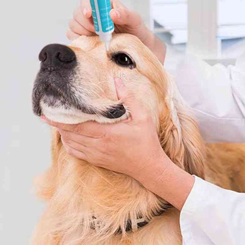 Pet Eye Drops For Routine Eye Care Of Dogs And Cats.