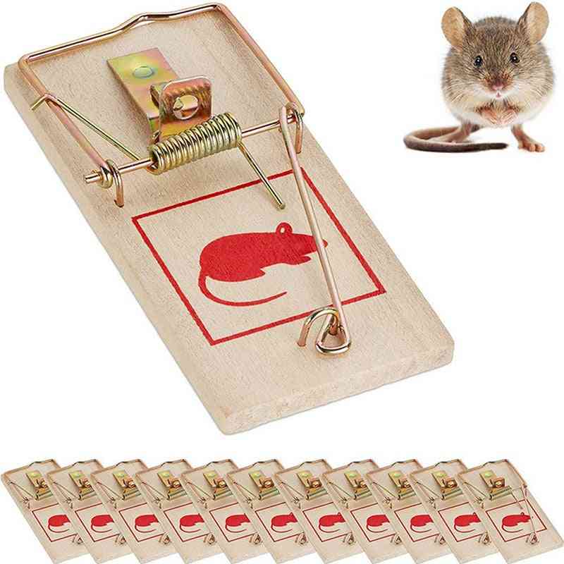 Traditional Wooden Mouse Trap