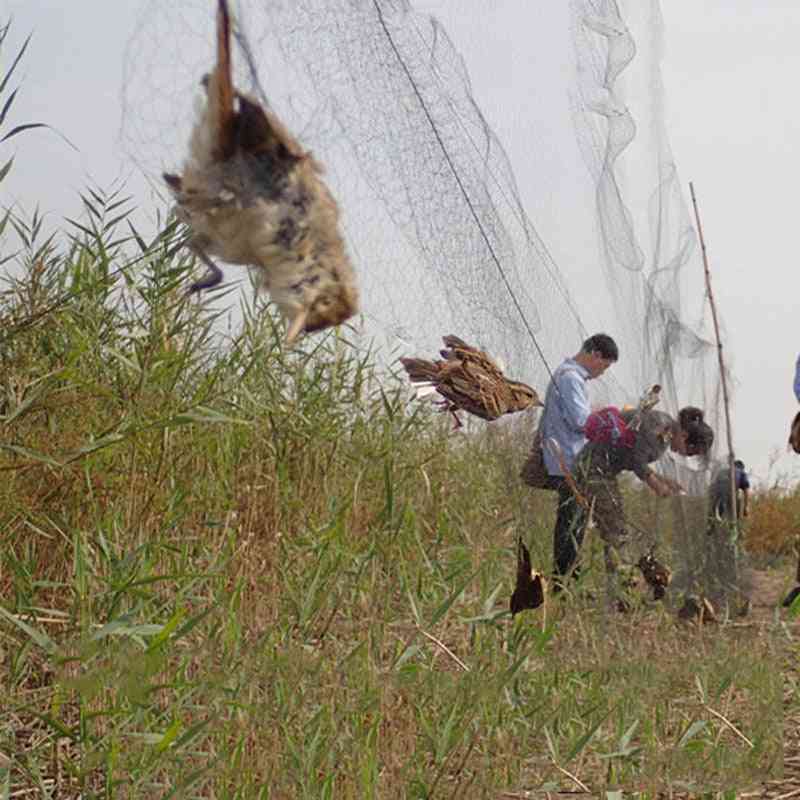 Anti fugl netting dam grøn net