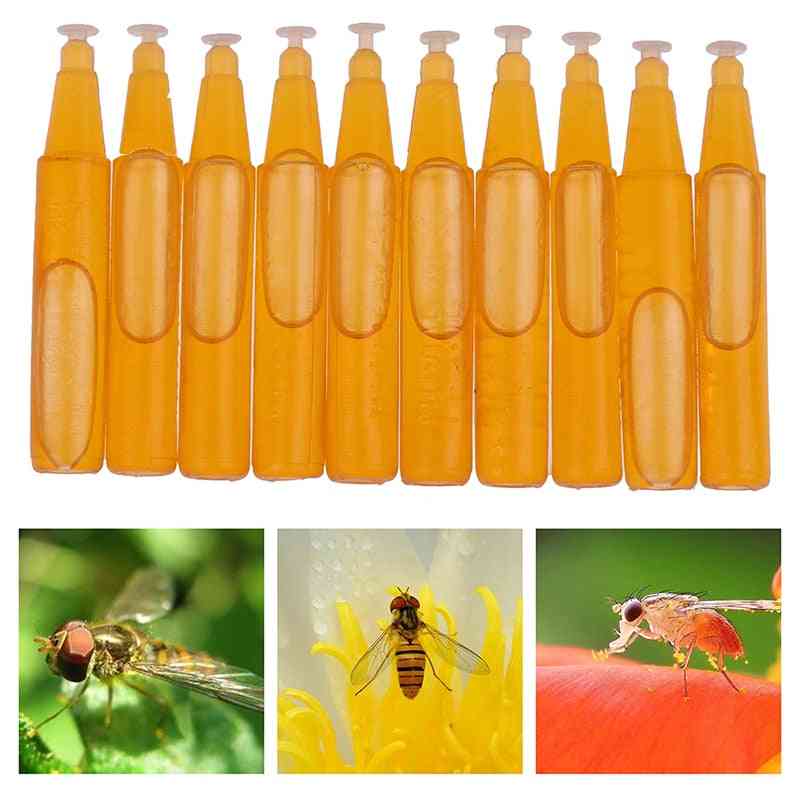 Biodling bikupa verktyg mördare, svärm fångst, fruktfluga attraktiv