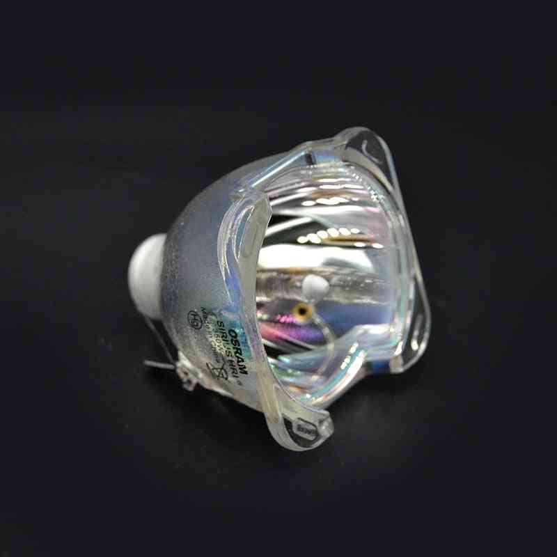 Light Bulb And Msd Platinum Lamp