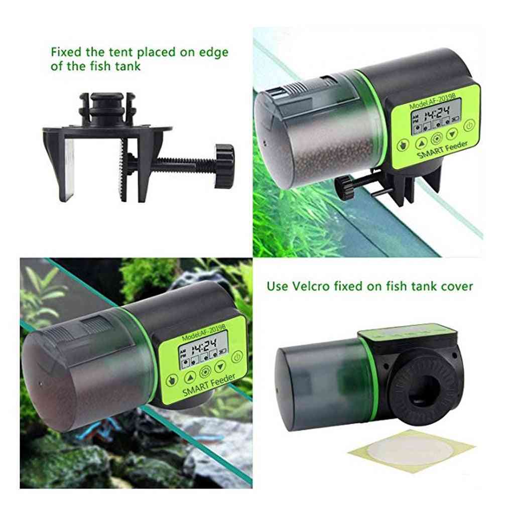 Cool Automatic Fish Feeder