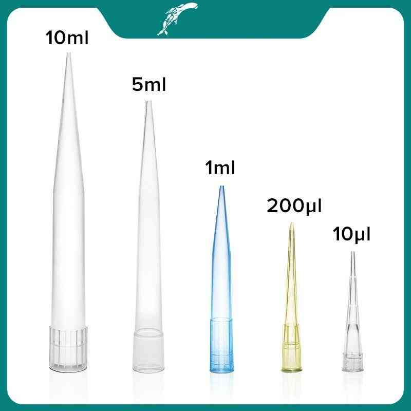 Disposable Plastic Pipette Tip Lab Equipment