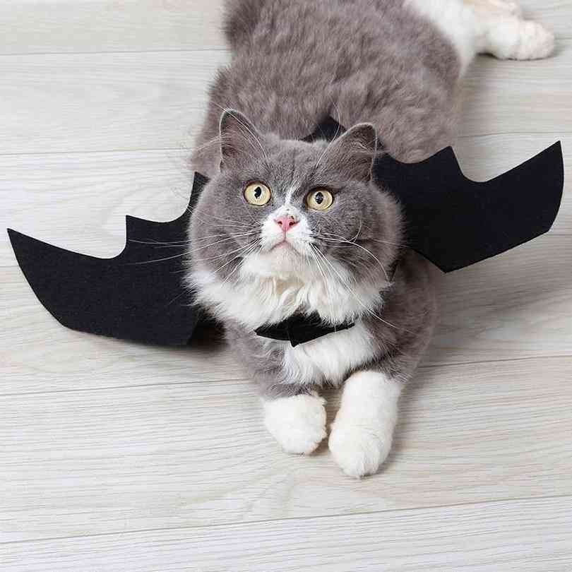 Cute Halloween Small Pet-bat Wings Costume