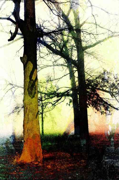 Trees In The Fog # 2 Modern Abstract Pop Art Print