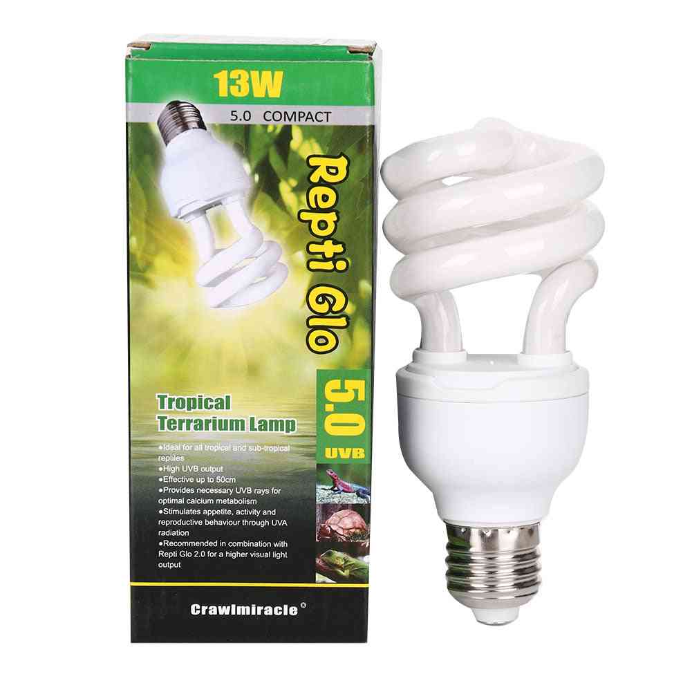 Reptile Light Bulb